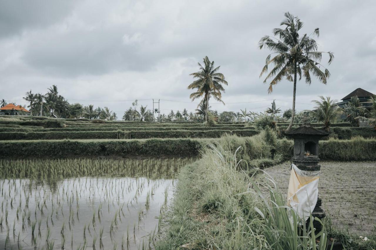 The Ning Resort Ubud Exterior foto